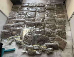 Μαρκόπουλο: Εντοπίστηκαν πάνω από 22 κιλά κάνναβης σε αποθήκη – Συνελήφθη ένας 41χρονος