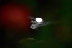 «Φεγγάρι της Συγκομιδής»: Εντυπωσιακές εικόνες από την πρώτη Υπερπανσέληνο της χρονιάς