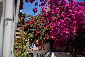 Η Πρέβεζα ανάμεσα στους καλύτερους γαστρονομικούς προορισμούς της Ευρώπης