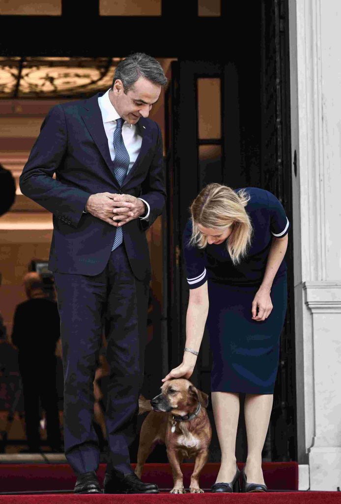 pinat skylos maksimou