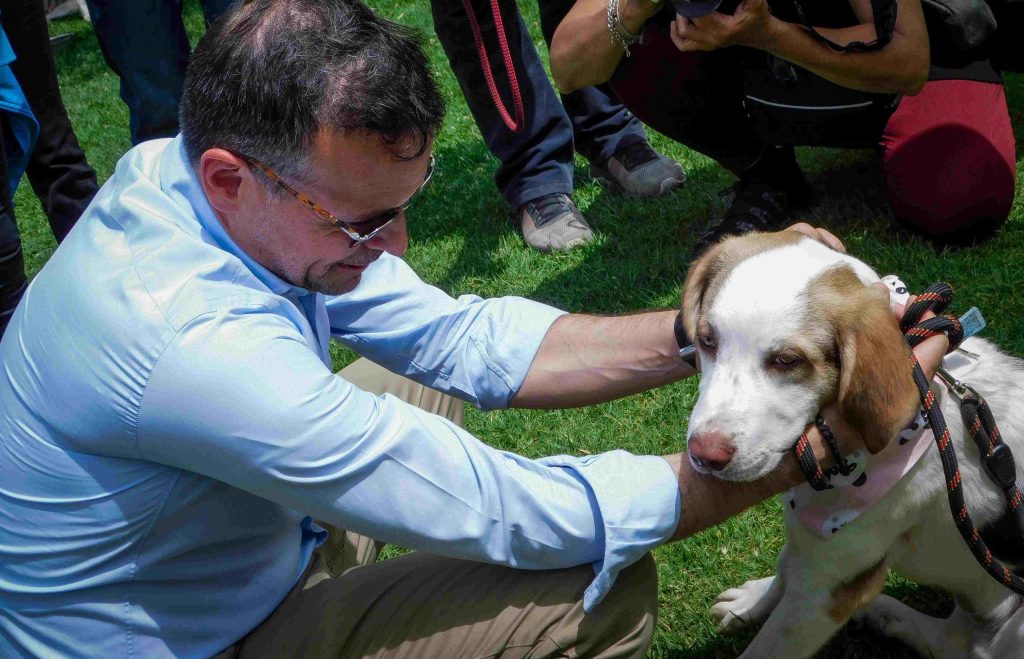 Δήμος Αθηναίων: «Θα συνεχίσουμε να υποστηρίζουμε καθημερινά τα αδέσποτα ζώα της πόλης»