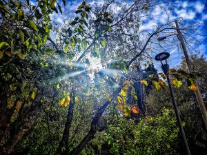 Υποχωρεί η κακοκαιρία: Ασθενείς τοπικές βροχές και μεμονωμένες καταιγίδες σήμερα