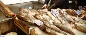 Επιχείρηση για την καταπολέμηση του παρεμπορίου: Κατασχέθηκαν πάνω από 150 κιλά ψάρια στον Πειραιά