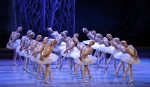 Swan Lake'