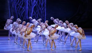 Λίμνη των Κύκνων: Η εμφάνιση αληθινών κύκνων…έκανε την σκηνή με τους χορευτές παραμυθένια! ΒΙΝΤΕΟ