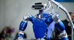 The humanoid robot TORO