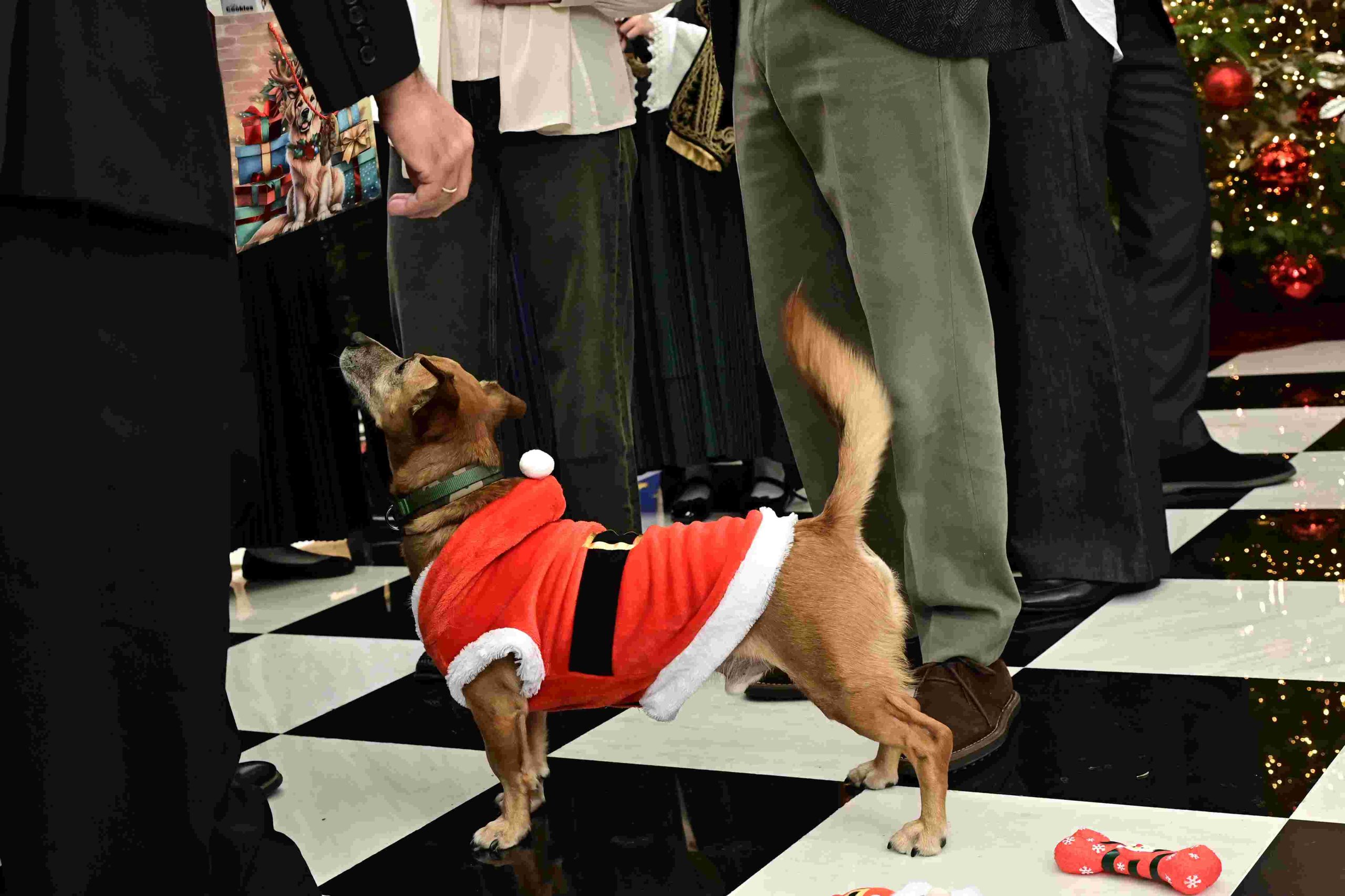 skylos megaro maksimou