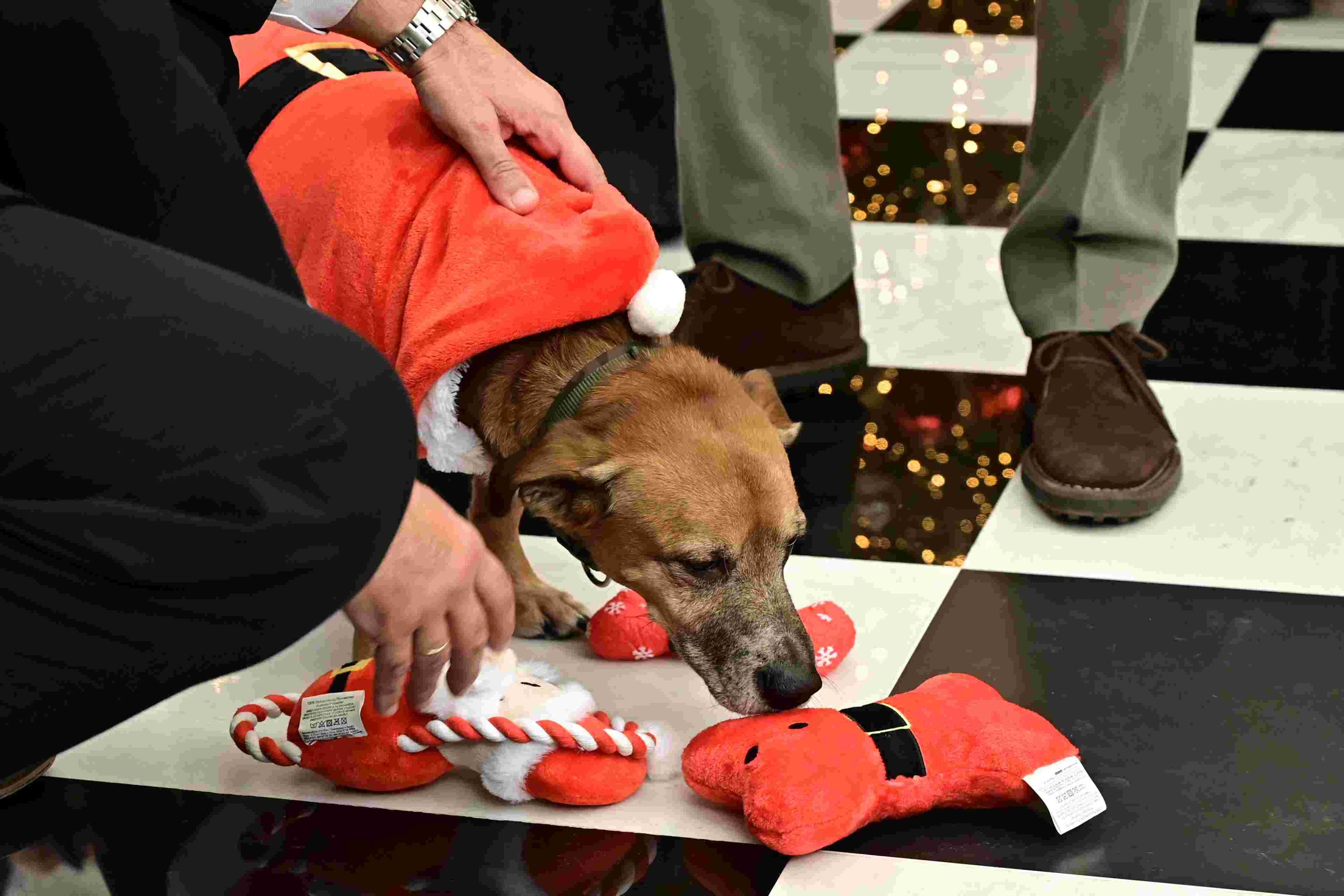 skylos megaro maksimou