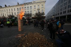Κεντρικοί δρόμοι των Βρυξελλών γέμισαν… πατάτες λόγω των αγροτών, vid
