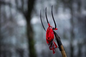 «Ντου» των αγροτών έξω από την εξοχική κατοικία του Μακρόν, vid