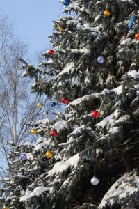 Απίθανες εικόνες στον ωκεανό: Το πιο viral χριστουγεννιάτικο δέντρο…δεν είναι ΑΙ! vid