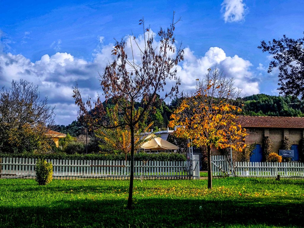 Αίθριος ο καιρός με συννεφιά και ομίχλες – Έως 19 βαθμούς η θερμοκρασία, παγετός το πρωί