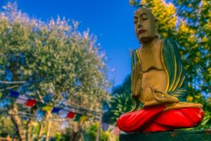 Ο Μόντι επαίνεσε 19χρονο μαθητευόμενο γκουρού που έψελνε 50 μέρες αδιάκοπα! vid