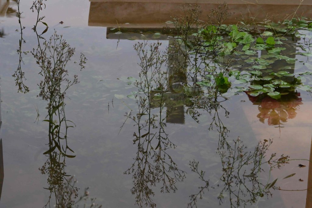 Meteo: Πάνω από 260 χιλιοστά το ύψος βροχής στη Βλυχάδα Αττικής – Ρεκόρ στο Νεοχώρι Χαλκιδικής