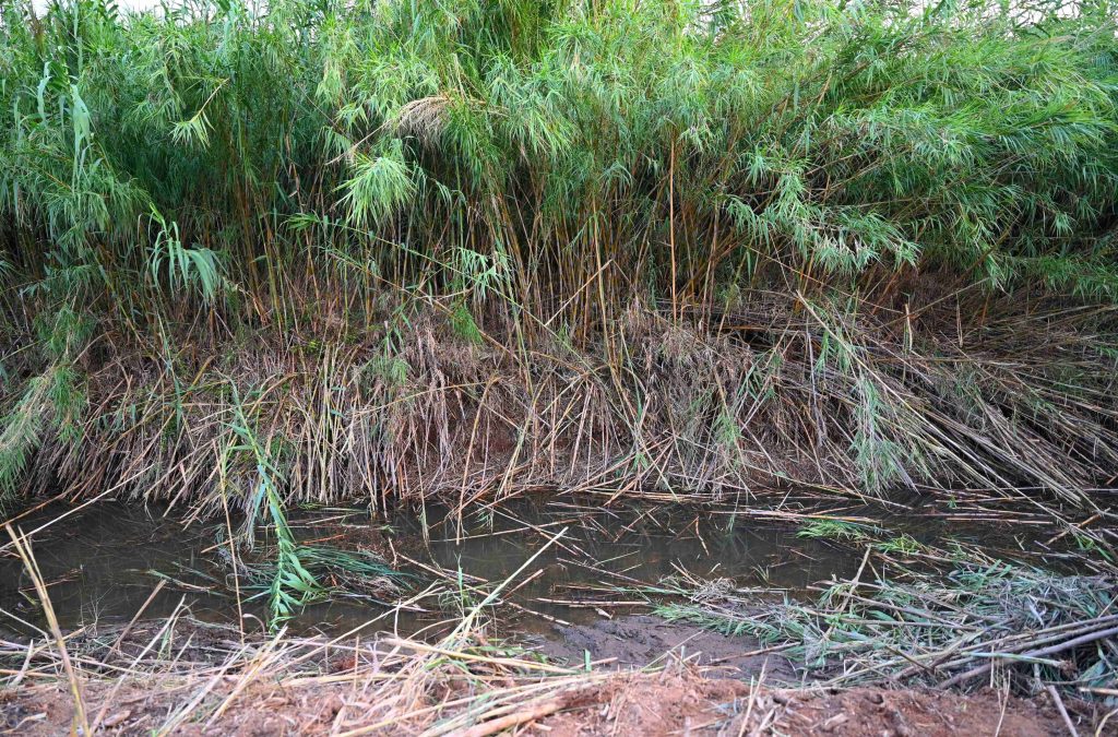 Σ. Μαυρίδου: «Τα ρέματα συνεχώς καθαρίζονται -Έγιναν πάρα πολλά μικρά και μεγάλα έργα στη βόρεια Πιερία»