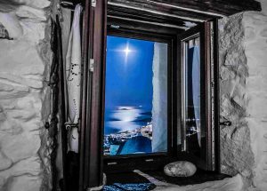 Αυτό το ελληνικό νησί προσφέρει δωρεάν διαμονή για φροντίδα αδέσποτων γατών και ήδη έγινε χαμός!