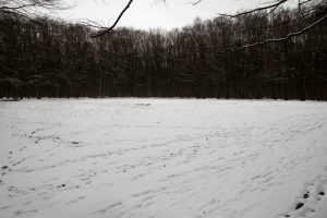 Μόνο στην παγωμένη Ρωσία γίνονται αυτά! Video