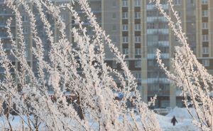 Ρώσοι κάνουν… σκι σε κεντρικούς δρόμους της Μόσχας, vid