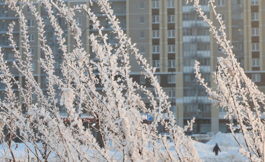 Ρώσοι κάνουν… σκι σε κεντρικούς δρόμους της Μόσχας, vid