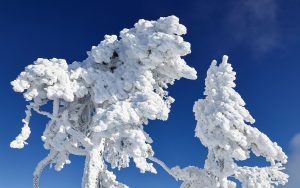 Υπερθέρμανση; Πέντε μέτρα χιόνι έριξε στα ορεινά του Ιράν – Video
