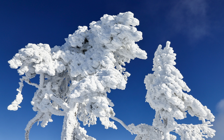Υπερθέρμανση; Πέντε μέτρα χιόνι έριξε στα ορεινά του Ιράν – Video