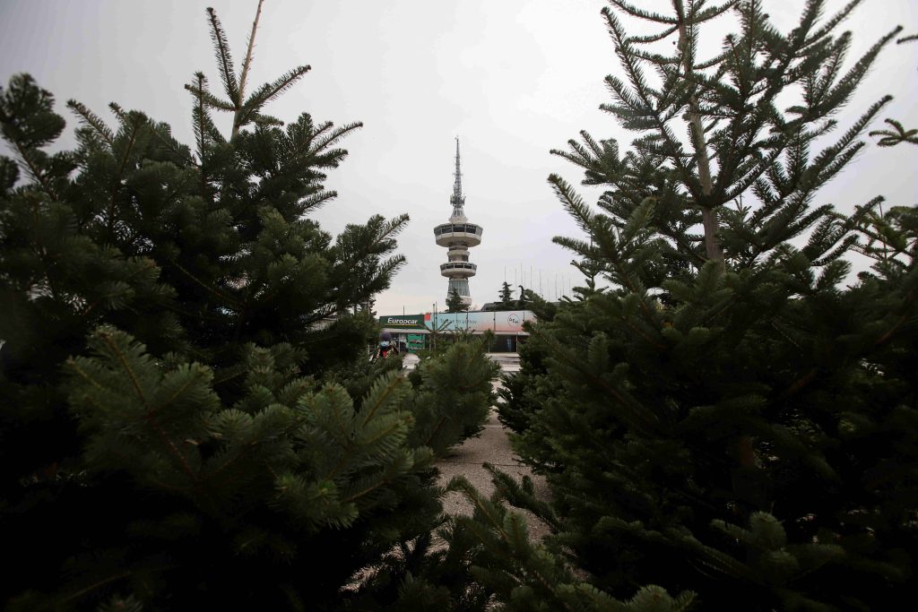 Θεσσαλονίκη: Αποκομιδή και ανακύκλωση των φυσικών χριστουγεννιάτικων δέντρων από τον δήμο