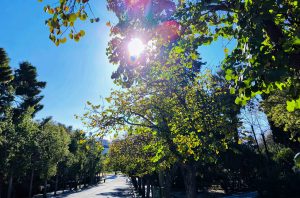 Συνεχίζεται και σήμερα Τετάρτη η ανοιξιάτικη διάθεση του καιρού – Πού ενδέχεται να βρέξει