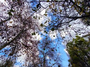 Αίθριος ο καιρός σήμερα: Νέα κακοκαιρία από αύριο με καταιγίδες, χιόνια και “βουτιά” της θερμοκρασίας