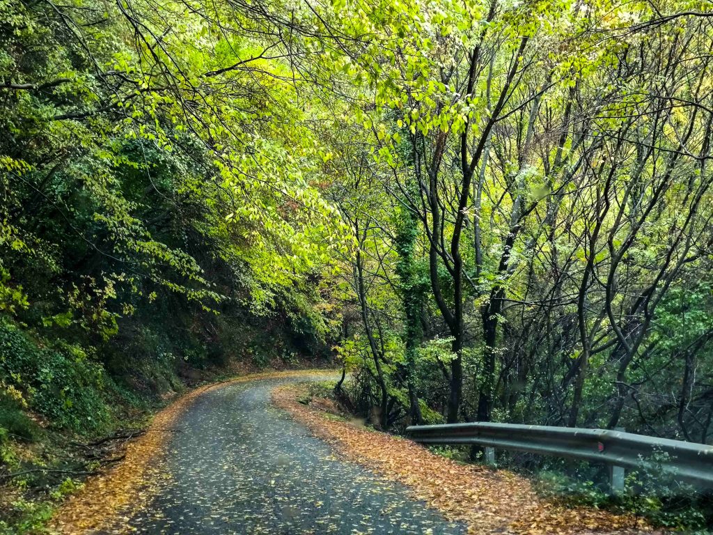 Καιρός: Πτώση της θερμοκρασίας σήμερα -Τοπικές βροχές και ισχυροί άνεμοι έως 7 μποφόρ