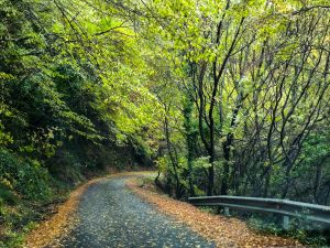 Καιρός: Πτώση της θερμοκρασίας σήμερα -Τοπικές βροχές και ισχυροί άνεμοι έως 7 μποφόρ
