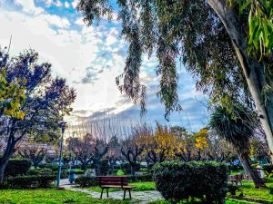 Καιρός: Ισχυροί νοτιάδες, τοπικές βροχές, ομίχλες και θερμοκρασίες έως 19 βαθμούς το Σαββατοκύριακο