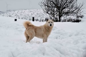 Στερεά Ελλάδα: Σε αυξημένη επιφυλακή οι υπηρεσίες της Περιφέρειας για το νέο κύμα κακοκαιρίας