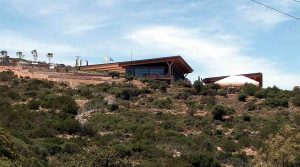 Νέα Γεωργία Νέα Γενιά: Έναρξη μαθημάτων προγράμματος «Μαστιχόδεντρα»