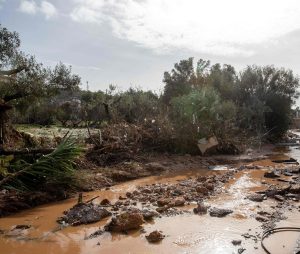 Κ. Τσιάρας: Θετική η Ελλάδα σε ευρωπαϊκό μηχανισμό αντασφάλισης για φυσικές καταστροφές