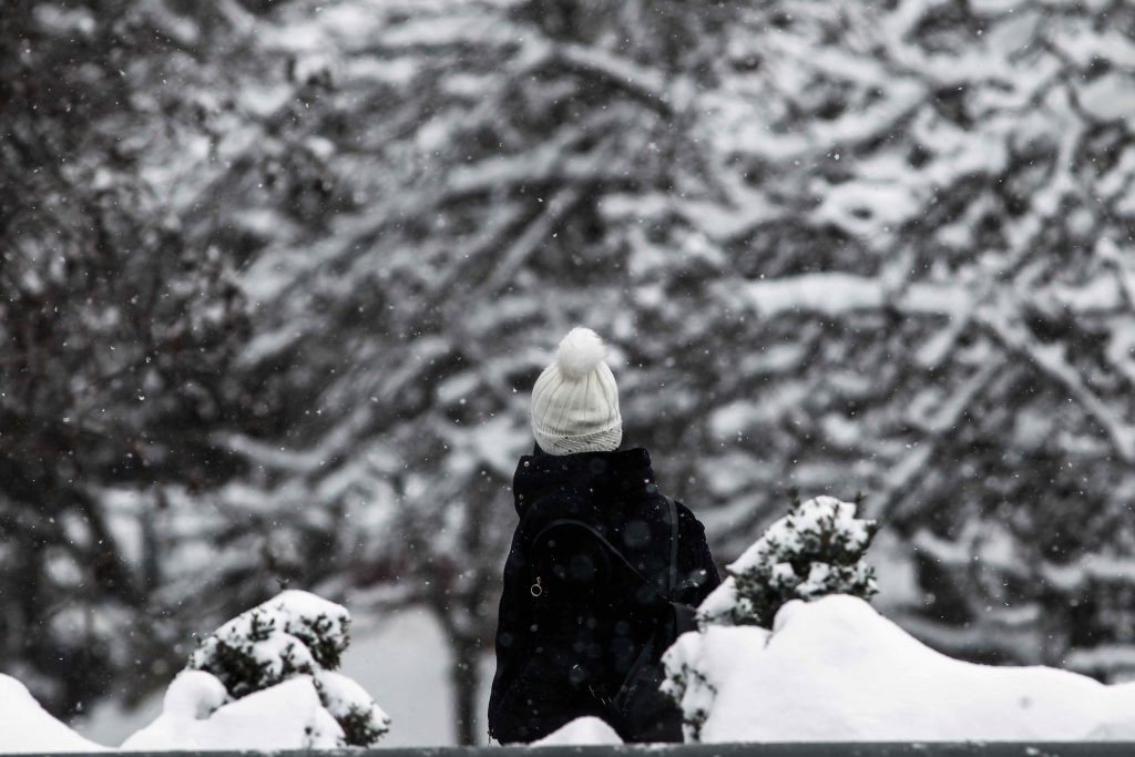 Τρίκαλα: Ξεπέρασε το μισό μέτρο το ύψος του χιονιού στα ορεινά – Ανοιχτοί οι δρόμοι