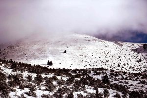 Καιρός: “Κλείδωσε τετραήμερο Ουκρανικό ψύχος…”: Η ανάρτηση Τσατραφύλλια για τη νέα ψυχρή εισβολή