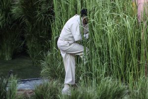 Έκαναν τα…δέντρα στο Super Bowl και δείτε  πόσα χρήματα πήραν! Viral βίντεο