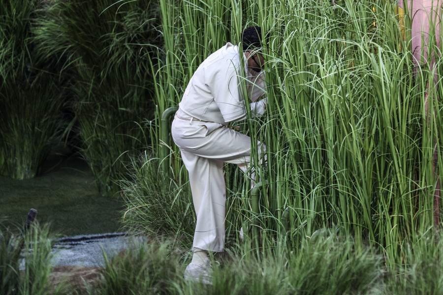 Έκαναν τα…δέντρα στο Super Bowl και δείτε  πόσα χρήματα πήραν! Viral βίντεο