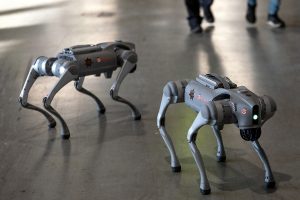 Με… ρομποτόσκυλα στα γήπεδα το ερχόμενο Μουντιάλ! – ΦΩΤΟ