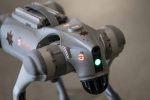 Police robot
