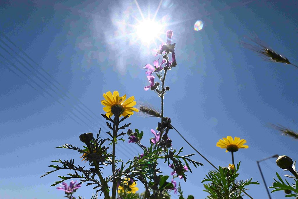 Αίθριος ο καιρός σήμερα με τοπικές νεφώσεις – Αναλυτικά η πρόγνωση
