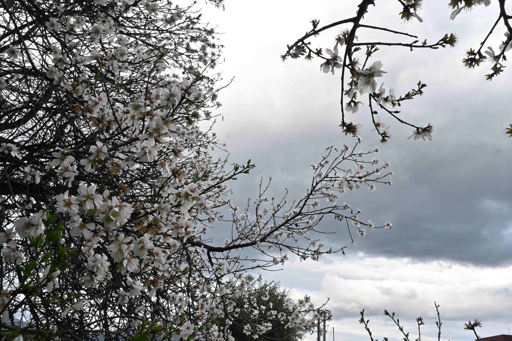 Καιρός σήμερα: Ισχυρές καταιγίδες και θυελλώδεις άνεμοι έως 9 μποφόρ σαρώνουν τη χώρα