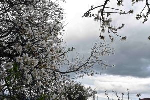 Καιρός σήμερα: Ισχυρές καταιγίδες και θυελλώδεις άνεμοι έως 9 μποφόρ σαρώνουν τη χώρα