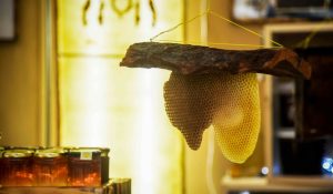 Θεσσαλονίκη: Ξεκινά την Πέμπτη 26/2 το πενθήμερο μελένιο Φεστιβάλ στη ΔΕΘ