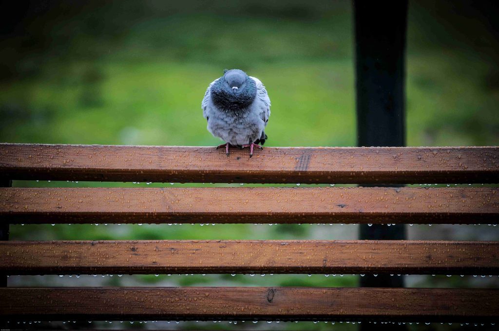 Θεσσαλονίκη: 300 νέα παγκάκια τοποθετούνται σε γειτονιές σε όλη την πόλη