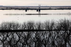 Λάρισα: Έντονα καιρικά φαινόμενα στα παράλια του νομού και στον Δήμο Αγιάς
