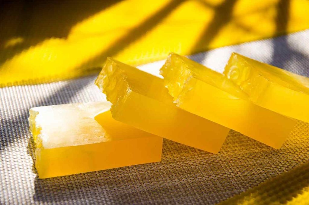 Ξάνθη: Στα Κομνηνά Νέστου μια μελισσοκομική οικοτεχνία μαθαίνει στα παιδιά τον θαυμαστό κόσμο της μέλισσας