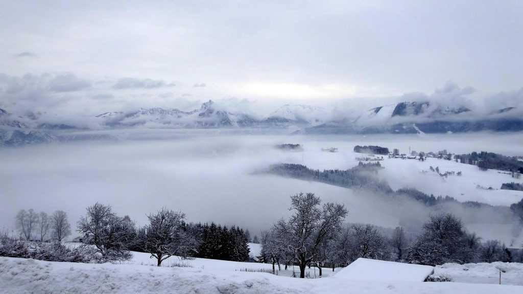 Σφοδρή χιονόπτωση σαρώνει την Αυστρία: 3.000 νοικοκυριά χωρίς ρεύμα, προβλήματα στο αεροδρόμιο της Βιέννης, vid