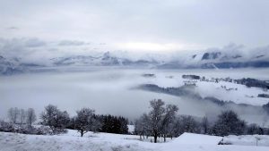 Σφοδρή χιονόπτωση σαρώνει την Αυστρία: 3.000 νοικοκυριά χωρίς ρεύμα, προβλήματα στο αεροδρόμιο της Βιέννης, vid