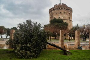Θυελλώδεις άνεμοι στη Θεσσαλονίκη: Δεκάδες κλήσεις στην Πυροσβεστική για πτώσεις δέντρων και άντληση υδάτων